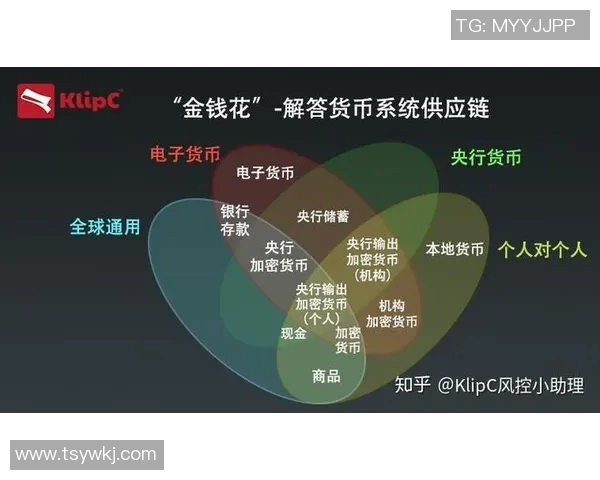 南京网球队防反策略分析与比赛表现评估的深度探讨