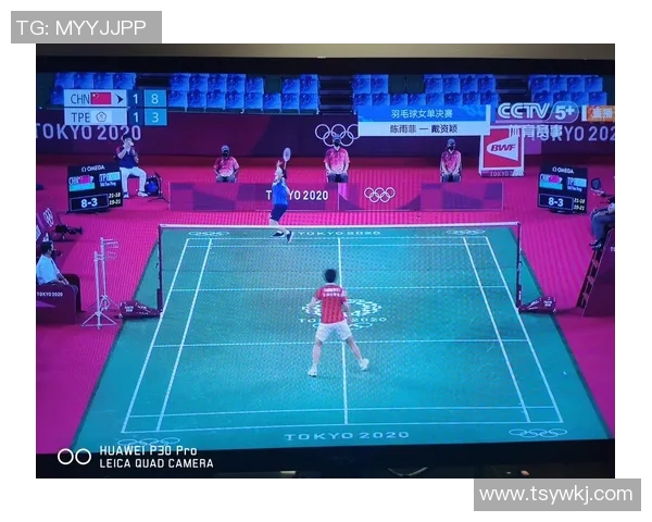 南京羽毛球队在锦标赛中的战术表现分析与点评探讨