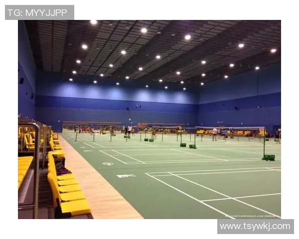 西安羽毛球队在比赛中的盯防策略分析与成效评估