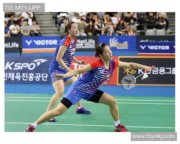 专业解读：成都羽毛球队的整体压制打法