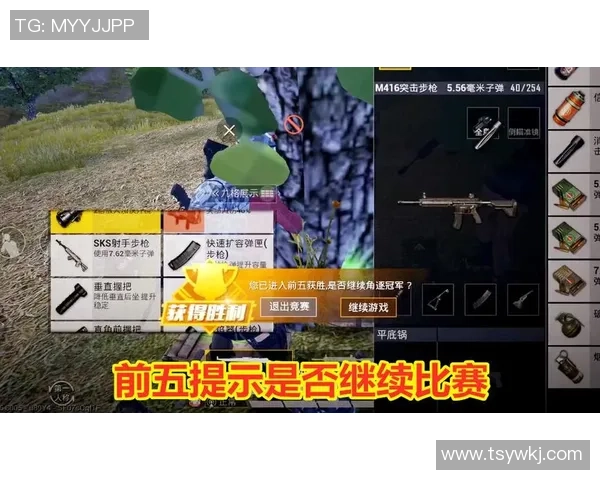 和平精英巨献：探秘TES的比赛经验