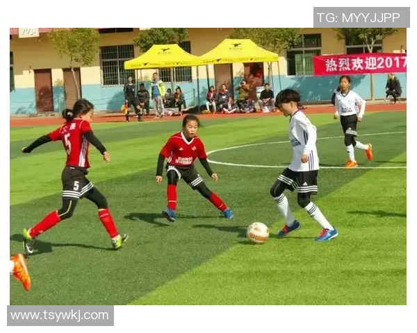 杯赛特别报道：南京足球队的成长故事