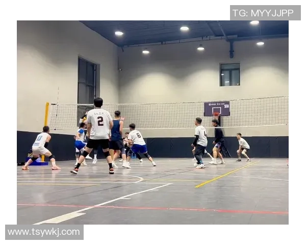 聚焦排球：成都排球队的力量话题